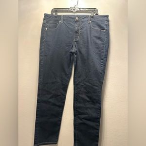 American Eagle Skinny Stretch Jeans Size 16 (AE4)
